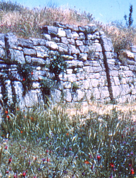 Walls of Troy.jpg
